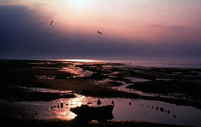 Picture